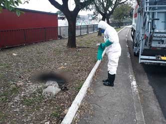 Imagem Foto Ecopontos