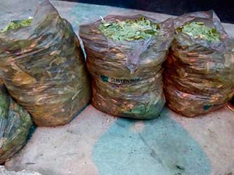 Imagem Foto Ecopontos